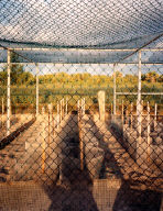 Turtle Hatchery, South Beach, Vero Beach, Florida
