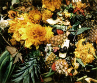 10/3/92 (pineapple)