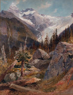 The Glacier of the Selkirks