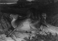 Wounded Stag and Dog