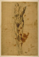 Crucified Christ or Marsyas