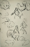 Sketches of Pigs, Sheep, Goats, Rooster