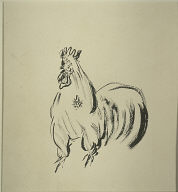 Rooster
