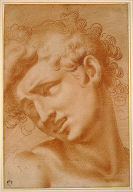 Head of a Youth