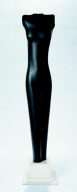 Torso of a Girl