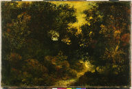 Woodland Brook