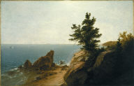 Coast Scene