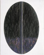 Oval Drawing