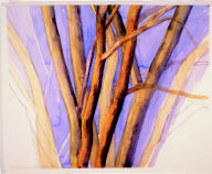 The Elm Tree 11/93