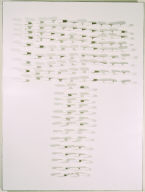 Letter T