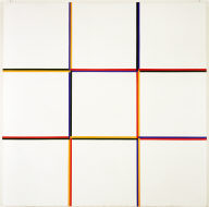 Nine Fields Divided by Means of Two Colors