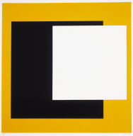 No. 3 - ADN (Jaune Noir Blanc)