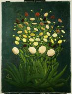 Tulips and Buttercups