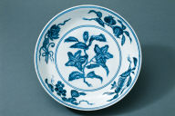 Dish