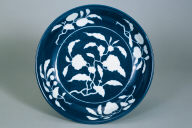 Dish