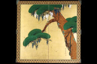 Pine and Wisteria