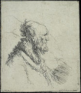 Bald Old Man with a Short Beard, in Profile Right