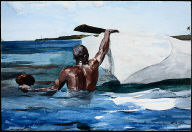 The Sponge Diver