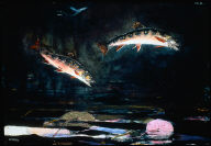 Leaping Trout