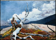 Woodsman and Fallen Tree
