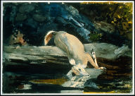 The Fallen Deer