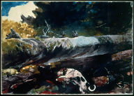 Hunting Dog among Dead Trees