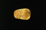 Tongue plate