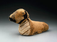 Mummy of a Ram