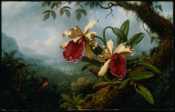 Orchids and Hummingbird