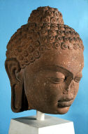 Buddha Head