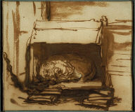 Watchdog Sleeping in His Kennel