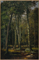 A Summer Afternoon