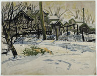 Backyards in Winter