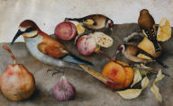 Still Life with Birds and Fruit