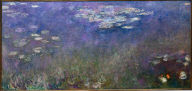Water Lilies