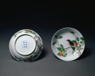 Dish
