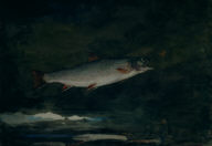 Leaping Trout