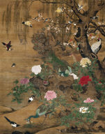 Hundred Birds Admiring the Peacocks