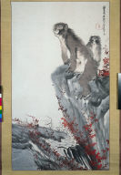Mountain Monkeys