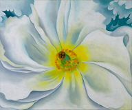 White Flower