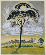 The Sun Through the Trees
