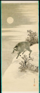 Wild Boar in the Moonlight