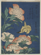 Herbaceous Peony and Canary from the series "Small Flowers"