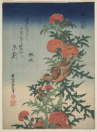 Blessed Thistle and Mozu from the series "Small Flowers"