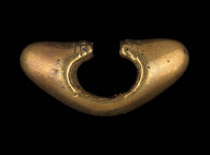 Nose ornament