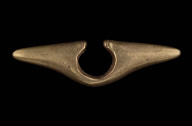 Nose ornament