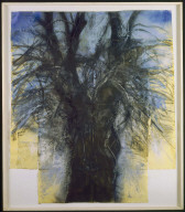 Tree (The Kimono)