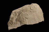 Stela of a woman