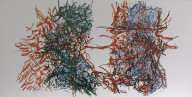 Sans titre (tirée d'un album «Sans titre», 1967)