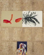 Untitled (Indian Series)